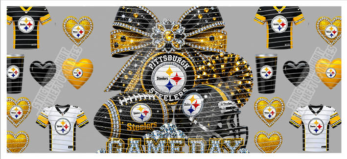 16oz team-NFL 3513